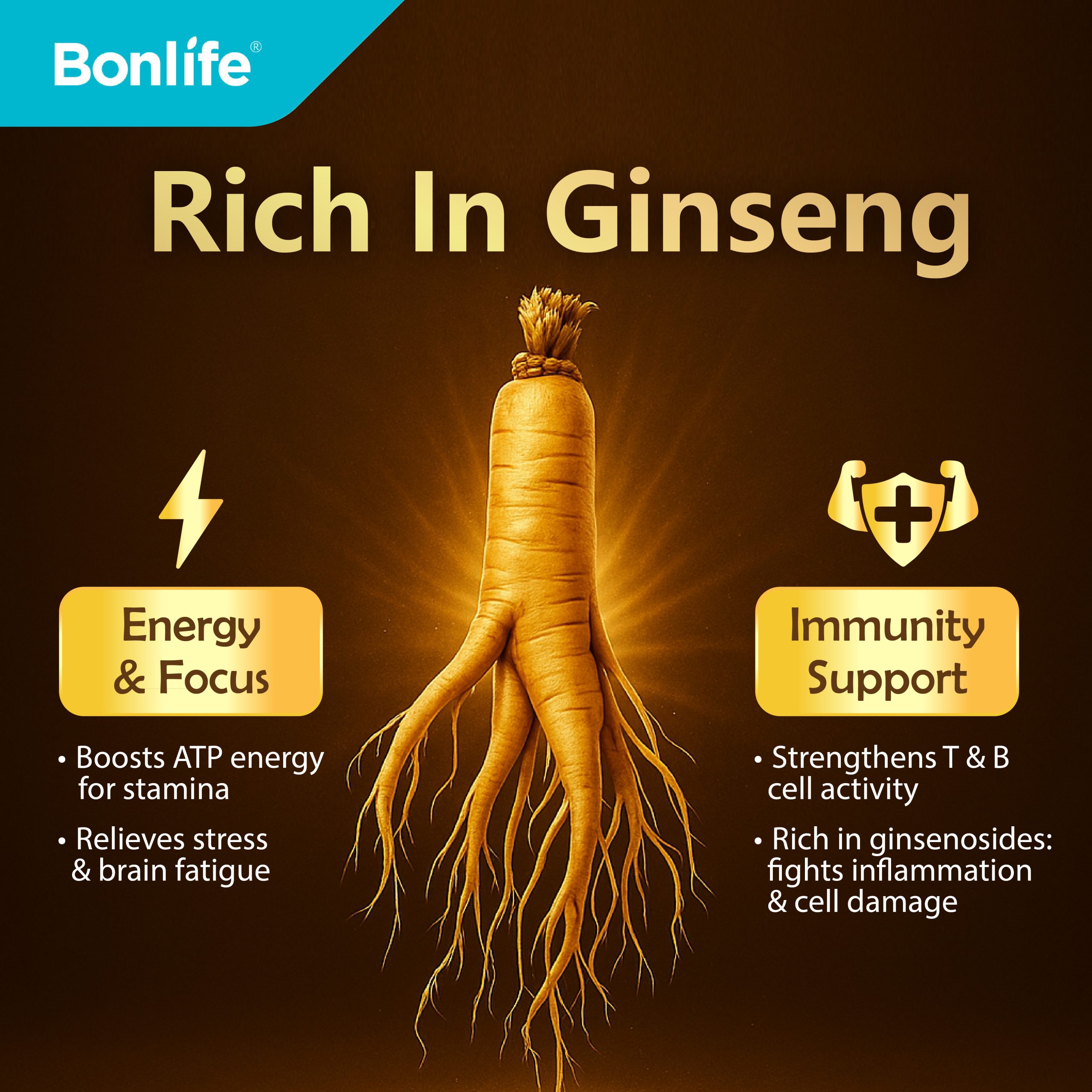 Q10 Coffee mixed with LINGZHI, GINSENG and COENZYME Q10 - Image 4