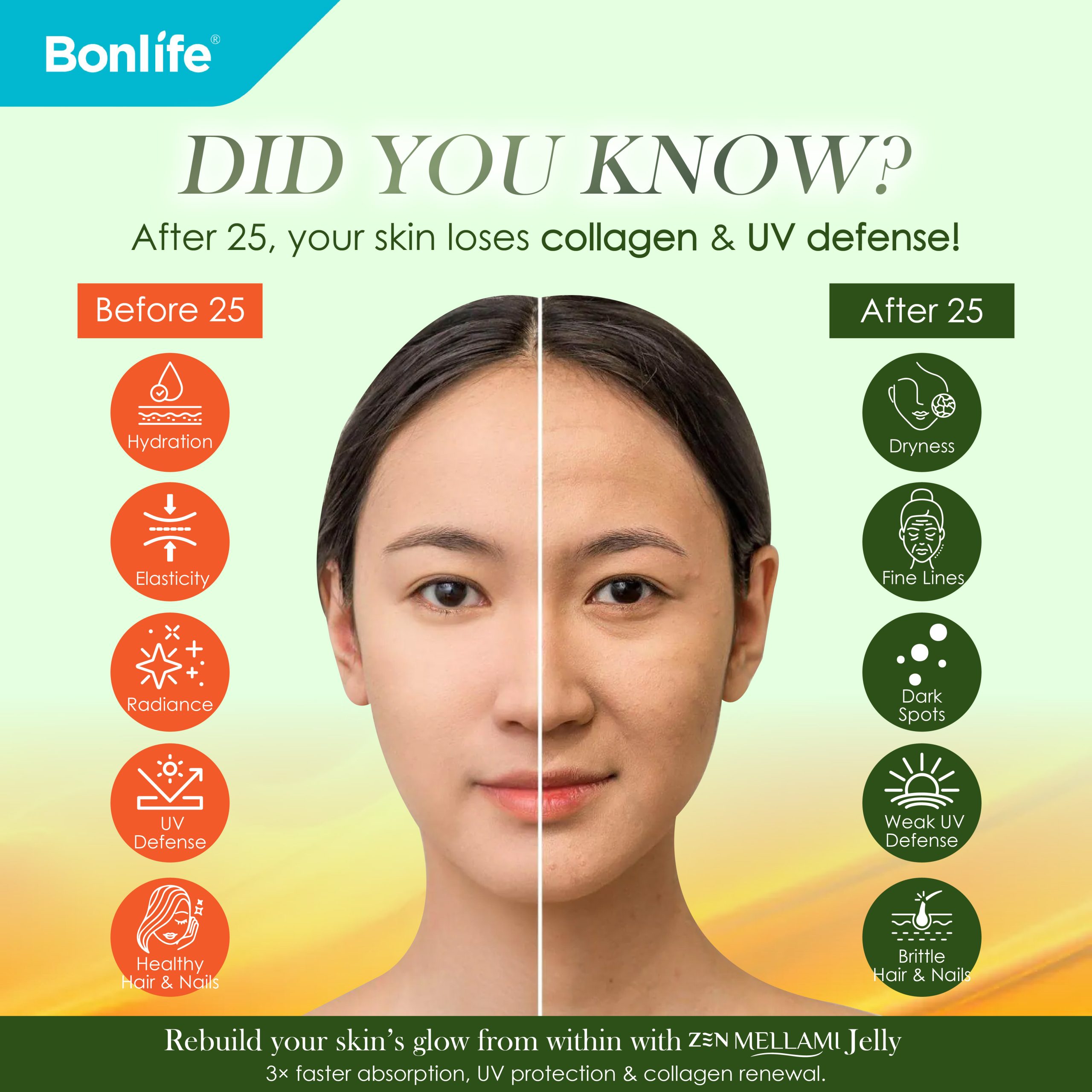 ZEN Mellami - Image 2