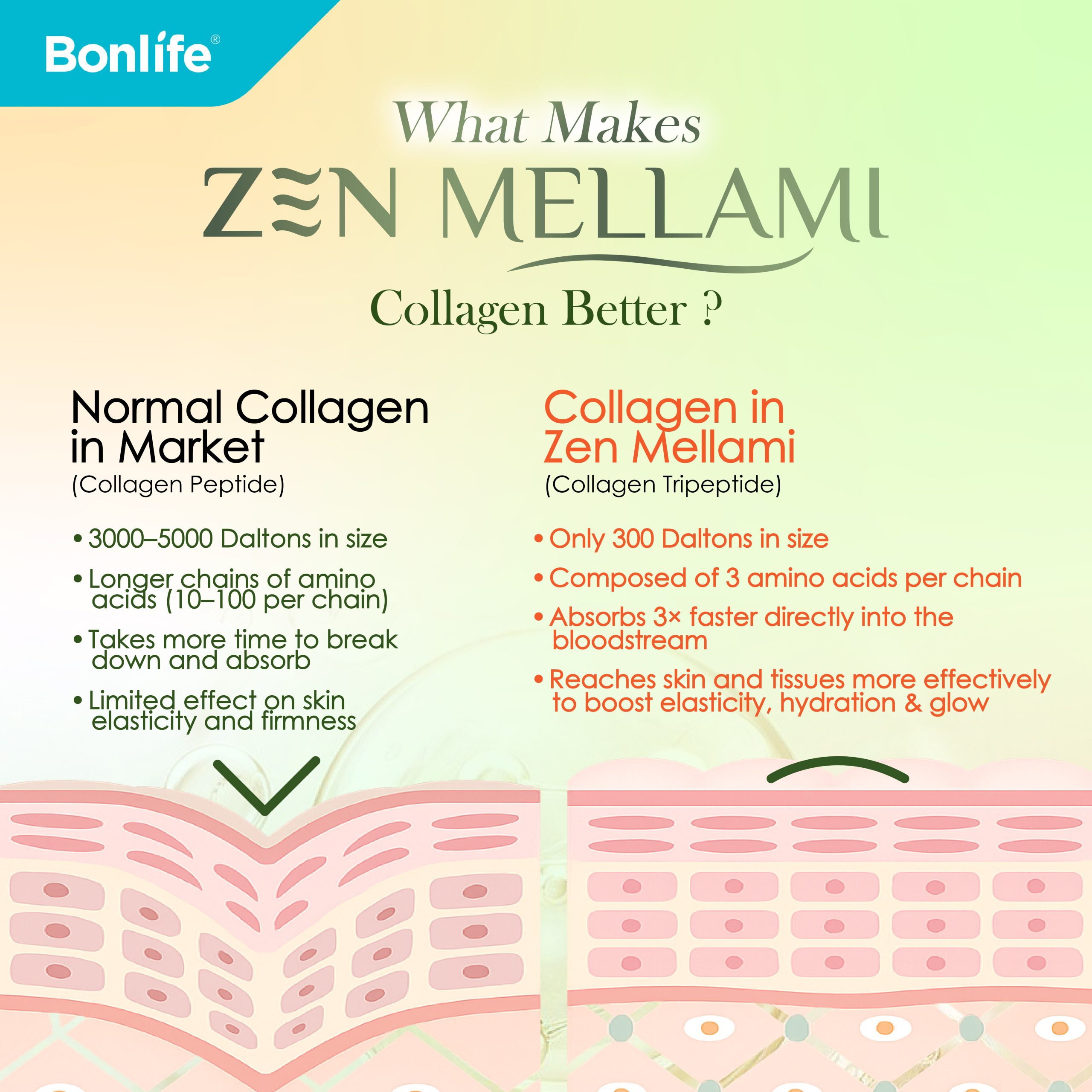 ZEN Mellami - Image 6