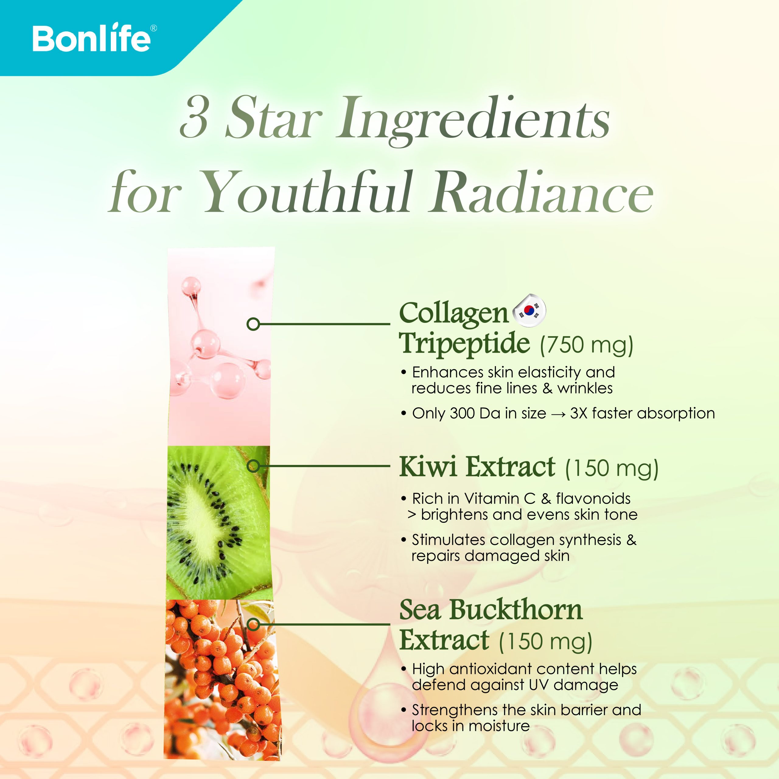 ZEN Mellami - Image 4